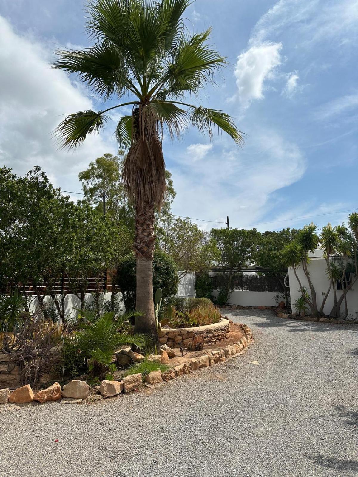 Micasa Ibiza Villa San Antonio  Exterior photo